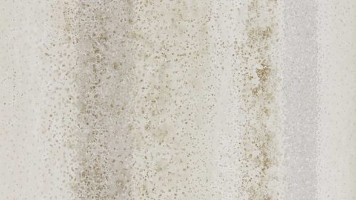Sabkha Wide Width 111612